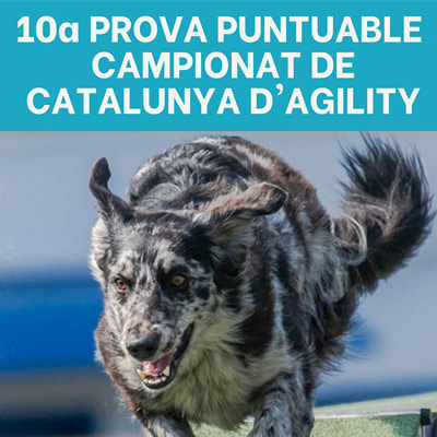 10a Prova puntuable Campionat de Catalunya d'Agility - Roquetes 2022