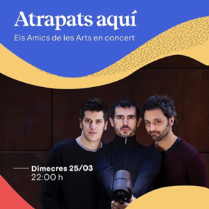 Concert, Amics de les Arts, En streaming, 2020