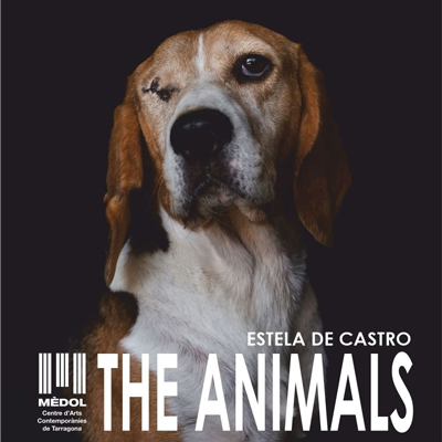 Exposició 'The Animals' d'Estela de Castro