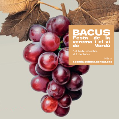 Bacus Verdú, Festa de la verema i el vi, Verdú, 2025