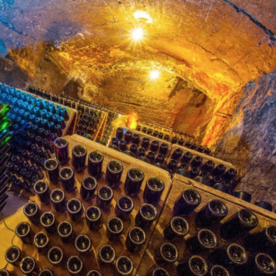 Caves Gibert - Bages Terra de vins