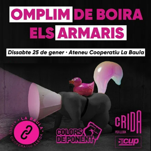 Omplim de boira els armaris, La Baula, Lleida, 2020