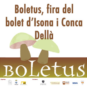Boletus, fira del bolet d’Isona i Conca Dellà, 2019