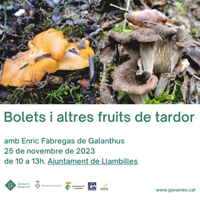 Activitat 'Bolets i altres fruites de tardor', Consorci de les Gavarres, Llambilles, 2023