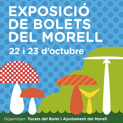 Exposició de Bolets del Morell, 2022