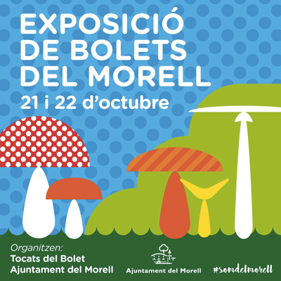 27a Exposició de Bolets del Morell, 2023