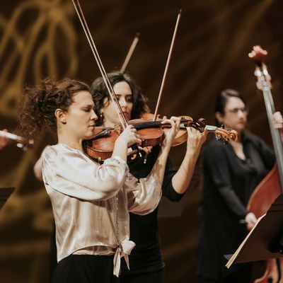 Lorenza Borrani, Camerata Penedès
