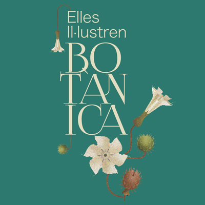 Exposició 'Elles il·lustren botànica', Museu d'Història de Girona, 2025