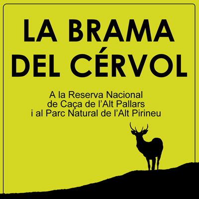 La Brama del Cérvol a la Reserva Nacional de Caça de l'Alt Pallars i al Parc Natural de l'Alt Pirineu, 2023