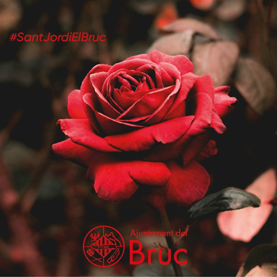Diada de Sant Jordi al Bruc, 2026