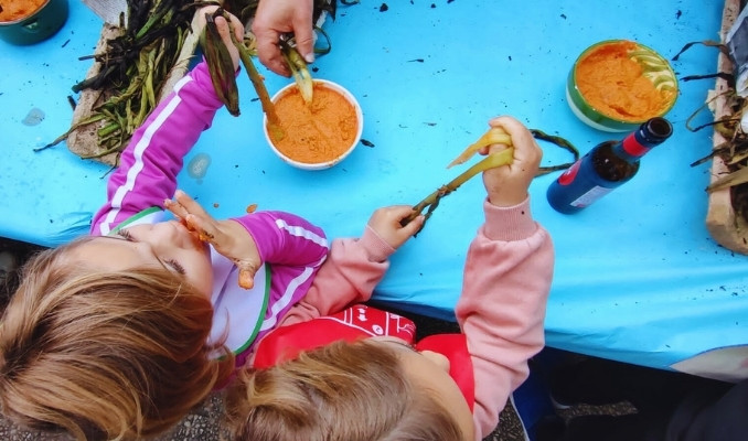 Calçotada, Calçots