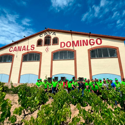 Cava Canals i Domingo, Sant Sadurdí d'Anoia, La Primavera del Cava, 2026