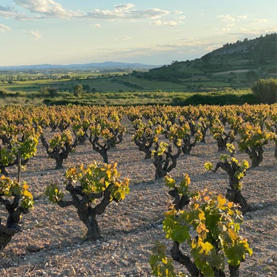 Capvespres a Sant Pau