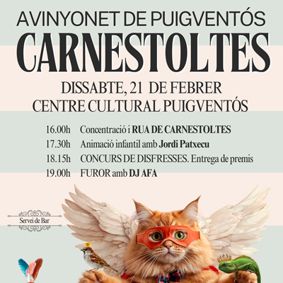 Carnaval - Avinyonet de Puigventós 2026