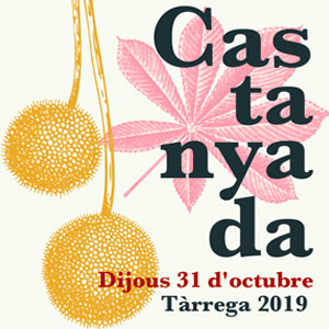 Nit de Castanyada a Tàrrega, 2019