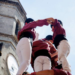 Castell, Xerrics, Olot, 2020