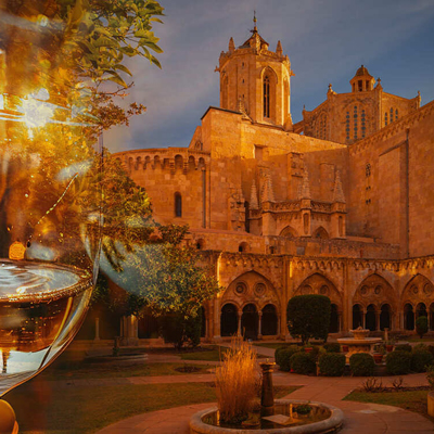Nits d'estiu a la Catedral de Tarragona, 2024