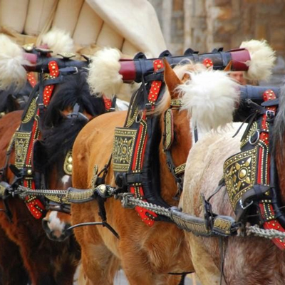 Tres Tombs de Sant Antoni, Cavalls, 2025