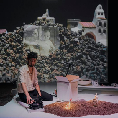 Com es moren els ocells