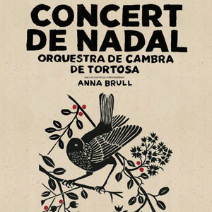 Concert de Nadal - OCTO + Anna Brull - Tortosa 2019