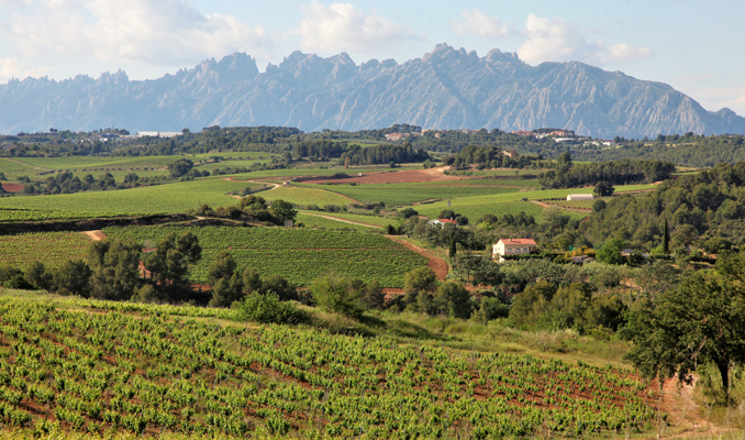 Vistes de Montserrat des de Sant Llorenç d'Hortons