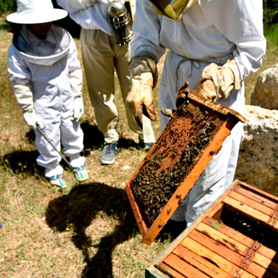 Cultura ecològica per a famílies, Museu de la Vida Rural, 2020