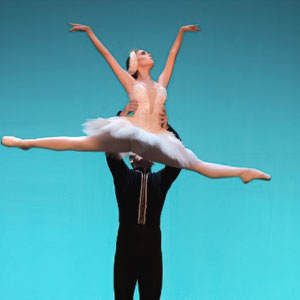 Catalunya dansa contra el càncer, Dansa, Ballarins