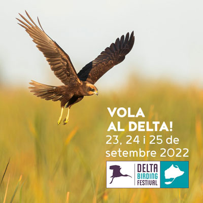 Delta Birding Festival 2022