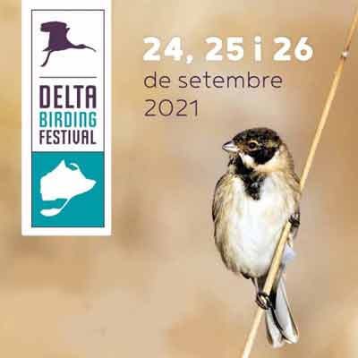 MónNatura Delta de l'Ebre, 2021, Delta Birding Festival