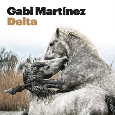 Llibre 'Delta' de Gabi Martínez