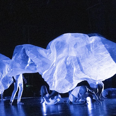 Espectacle 'Desiroago' de l'Esbart Joaquim Ruyra