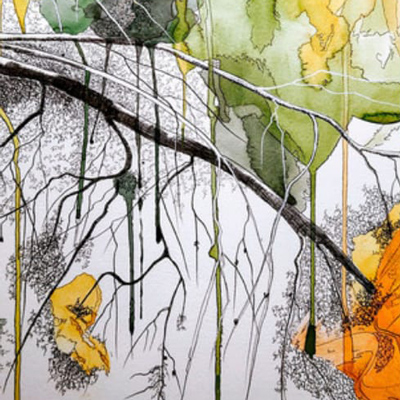 Exposició 'Diàspores naturals, cap a Lleida' de Tatiana Blanqué