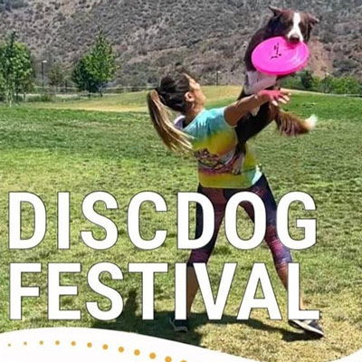 Discdog Festival - Roquetes 2022
