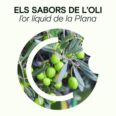 Els sabors de l’oli, l’or líquid de la Plana - Santa Bàrbara 2025