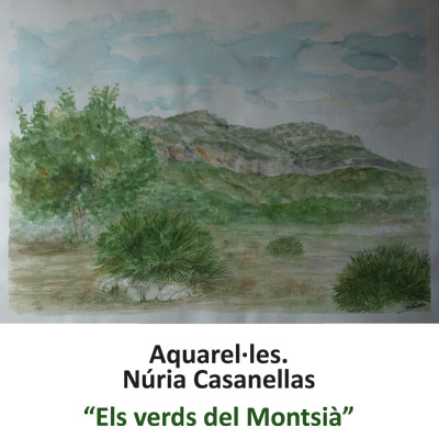 Exposició 'Els verds del Montsià' de Núria Casanellas