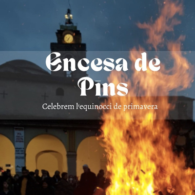 Festa de l'encesa de pins, Santa Coloma de Farners, 2023