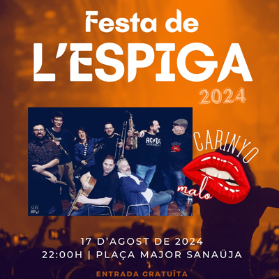 Festa de l'Espiga de Sanaüja, 2024