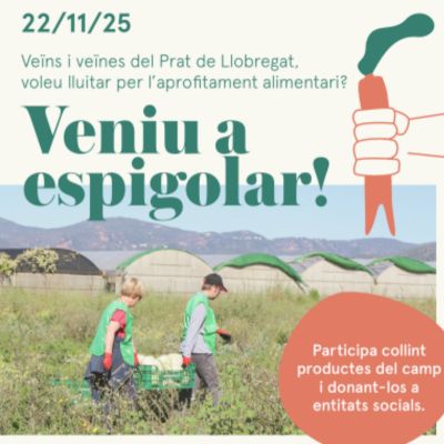 Espigolada Popular al Parc Agrari del Baix Llobregat, Espigolada, Espigoladors, Baix Llobregat, 2025, 