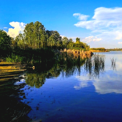 Estany d'Ivars i Vila-sana