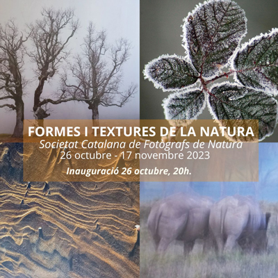 Exposició 'Formes i textures de la natura', Cambrils, 2023