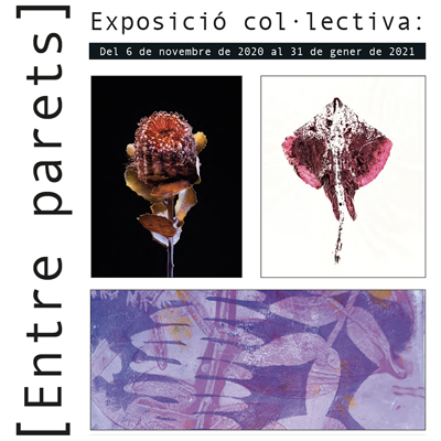 Exposició 'Entre parets'
