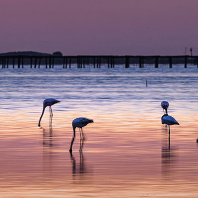 Exposició 'Lo Delta 4.30' de José Antonio Sartorio