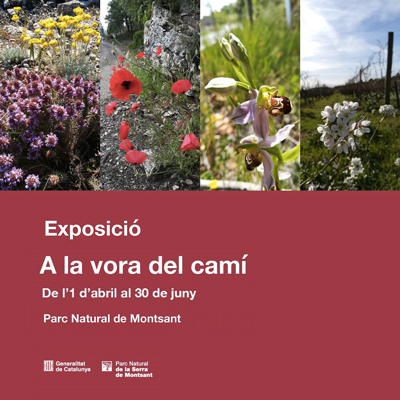 Exposició 'A la vora del camí', Maria Garcia Barberà, Parc Natural de Montsant, 2023