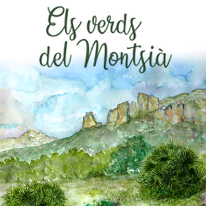 Exposició 'Els verds del Montsià' de Núria Casanellas