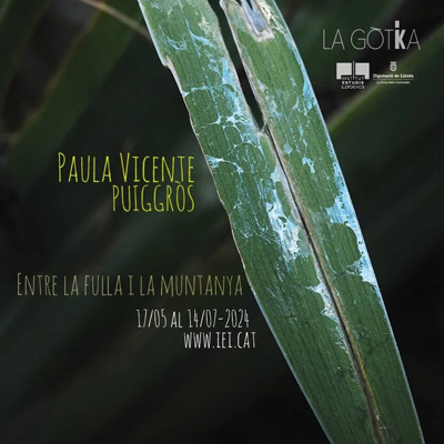 Exposició 'Entre la fulla i la muntanya' de Paula Vicente Puiggros, IEI, Lleida, 2024