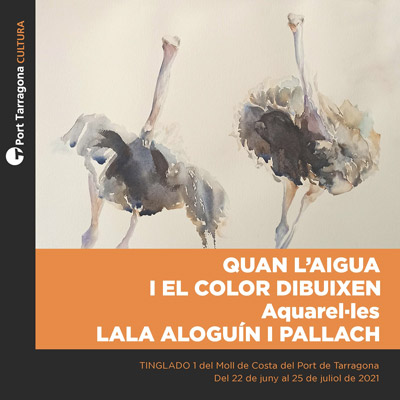 Exposició 'Quan l'aigua i el color dibuixen' de Lala Aloguín