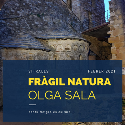 Exposició de vitralls 'Fràgil Natura' d'Olga Sala