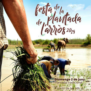 Festa de la Plantada de l'arròs - Amposta 2019