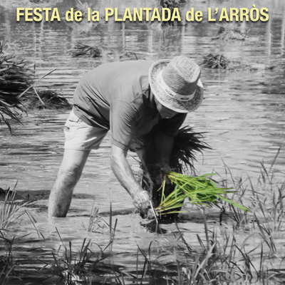 Festa de la Plantada - L'Aldea 2024
