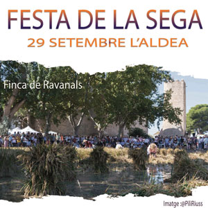 Festa de la Sega - L'Aldea 2019